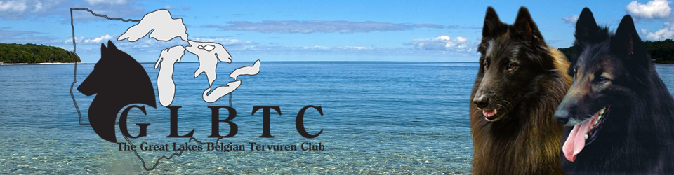 Great Lakes Belgian Tervuren Club